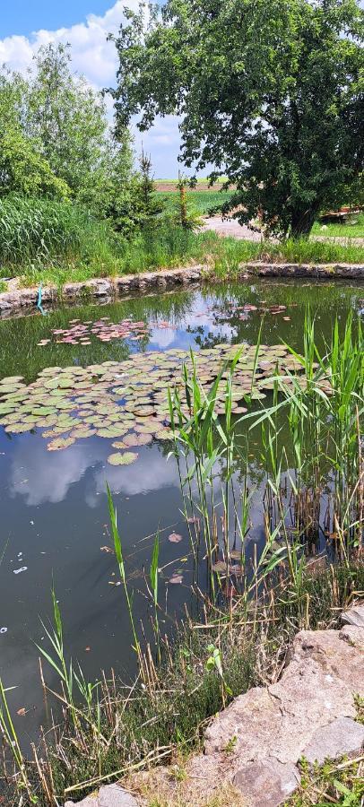 Domek U Rybnika Schloss Bosig Buitenkant foto